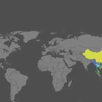 ท่าอากาศยานนานาชาติเชียงใหม่วางแผนขยายเส้นทางการบิน-ปี-2561